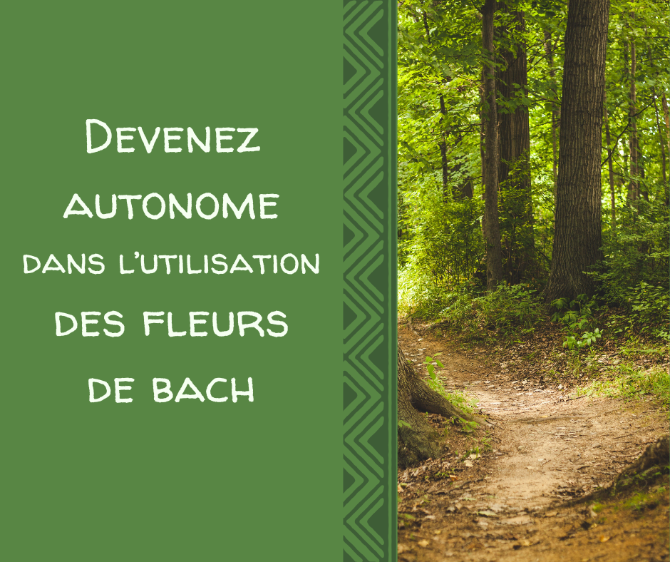 Devenez%20autonome%20site%20FB image Devenez autonome site FB